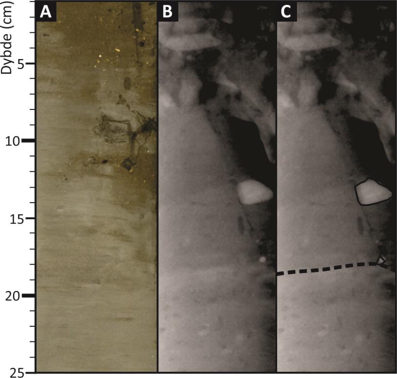 Figur 5.6: A) Fargebilde av sediment overflaten som viser «overgangssonen» (enhet 041-1). B) Røntgenbilde som avslører en kaotisk øvre del. C) Enhetsgrensen markert inn.