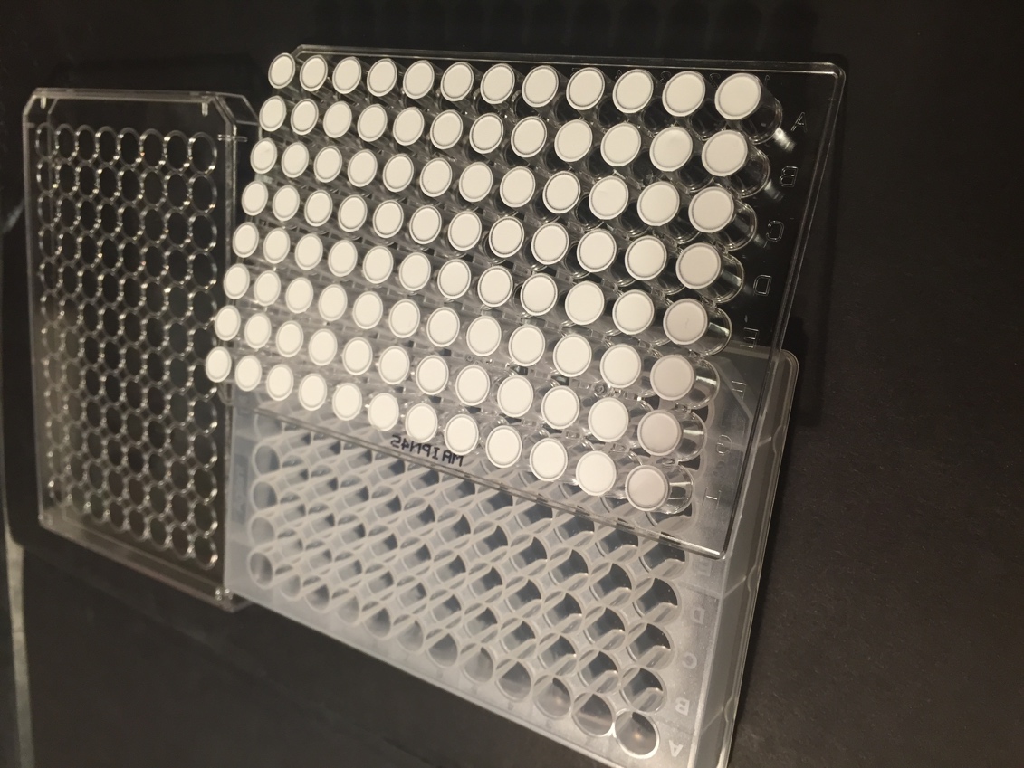 Parallel artificial liquid membrane extraction til analyse av nye psykoaktive stoffer i plasma Veiledere: Stig Pedersen- Bjergaard Professor ved avdeling for farmasøytisk kjemi, Farmasøytisk