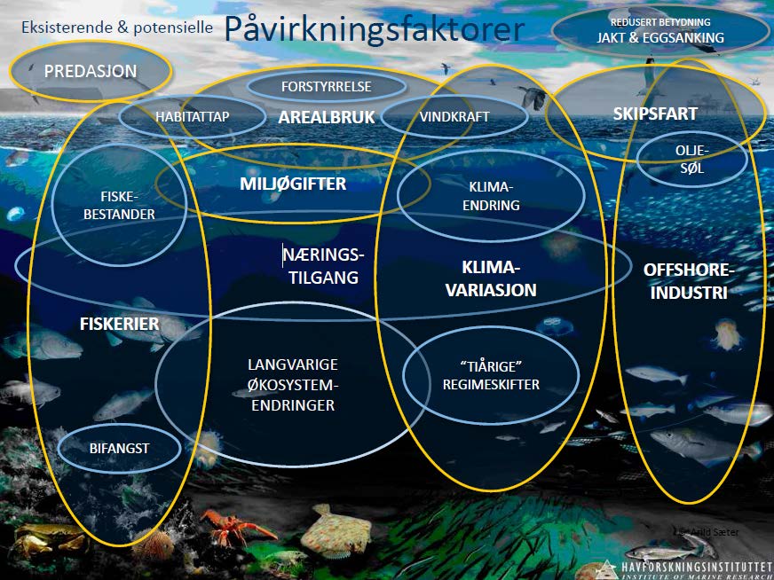 Forvaltningsplaner for havområdene Eksisterende og potensielle