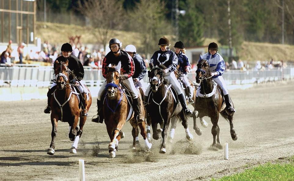 Monté elite og rekruttering Montésporten ble satt i gang først og fremst som en rekrutteringsgren. Den har bare delvis fungert som det.