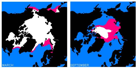 Klimaendring i Arktis Reduksjon i Arktisk isdekke (sjøis) i 2070 Simulering av sjøisutbredelse vinter og