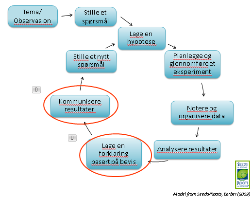 Diskusjons- og kommunikasjonsfasene Hvordan utnytte potensialet bedre?