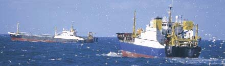 EUs fiskeripolitikk Norge ble invitert til å komme med skriftlige innspill til EU Ny grunnforordning om bevaring og bærekraftig utnyttelse av fiskeressursene Fastsettes forvaltningsplaner for