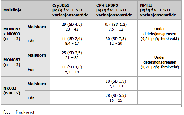 Tabell 3. Proteininnhold (µg/g tørrvekt) i korn og fôr for de innsatte genene i hybridmaisen MON 863 x NK 603, og de tilsvarende foreldrelinjene.