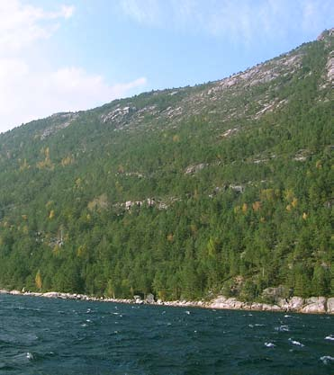 Tuftene sett fra Lysefjorden (Foto: BKK) Tuftene. Dalaåna kraftstasjon er tenkt plassert bak naustet. (Foto: BKK) Løyve Kva for fylgjer kan inngrepa få?