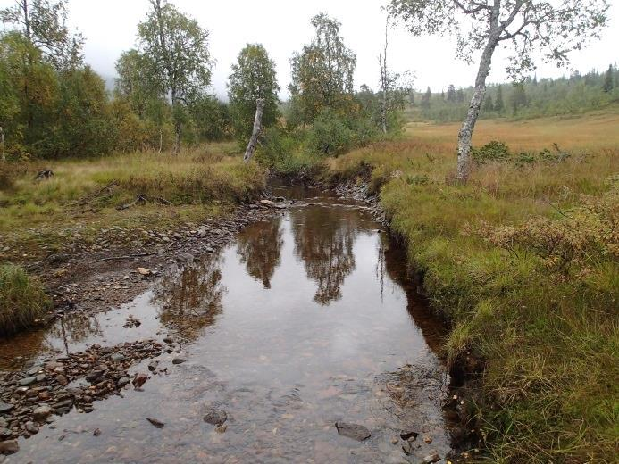 oppstrøms utløpet ligger et bratt stryk som delvis renner over sva, og kun stor fisk vil klare å passere dette vandringshinderet.