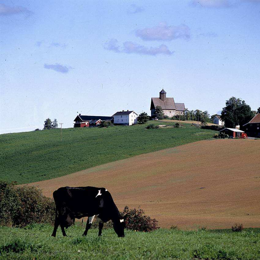 Natur, kulturmiljø og landskap I fjell- og utmarksområdene skal natur- og kulturressurser, friluftslivsinteresser og næringsmessig bruk ivaretas og utfylle hverandre.