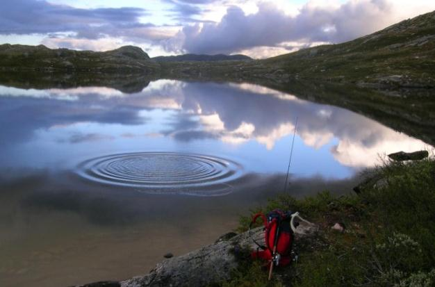 Natur, kulturmiljø og landskap I fjell- og utmarksområder skal natur- og kulturressurser, friluftslivsinteresser og næringsmessig bruk ivaretas og utfylle hverandre Tap av naturmangfold,