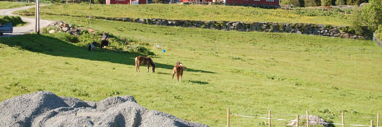 4.1.3 Gryta Figur nr. 13. Tun, Gryta. Gryta grenser til Engebø, og ligger på en liten utstikker i fjorden, som sammen med fjellet på sørsida snevrer inn fjordløpet inn mot Redalen.