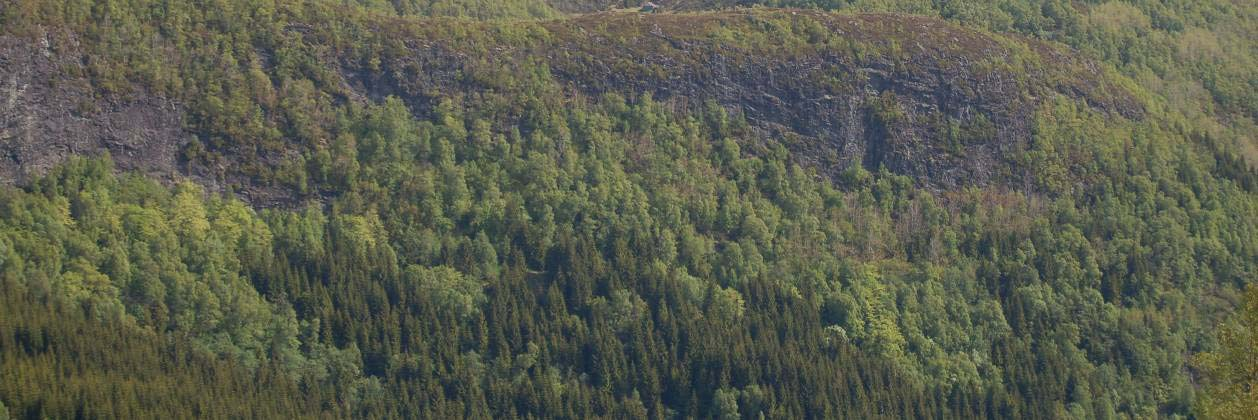 4.1.7 Støler til Gryta og Engebø Figur nr 18. Grytastølen (små bygg midt i bildet) og landskapet rundt, sett fra toppen av Engebøfjellet.