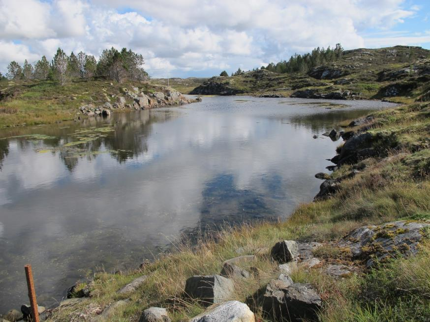 25 Åstasund er et område med en mosaikk av kystlynghei (avgrenset), små strandenger, myrer og små