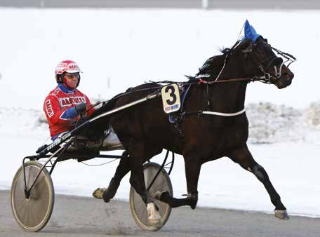 V76-5 Løp 6/V5-2 Kl. 20.25 Løp: 6 FINALE - WABA GRUPPENS SERIE FOR STALLANSATTE (ca. kl. 20:25) FINALE - WABA GRUPPENS SERIE FOR STALLANSATTE For 3-2-årige høyest 70.000 kr. 200 m. Autostart.