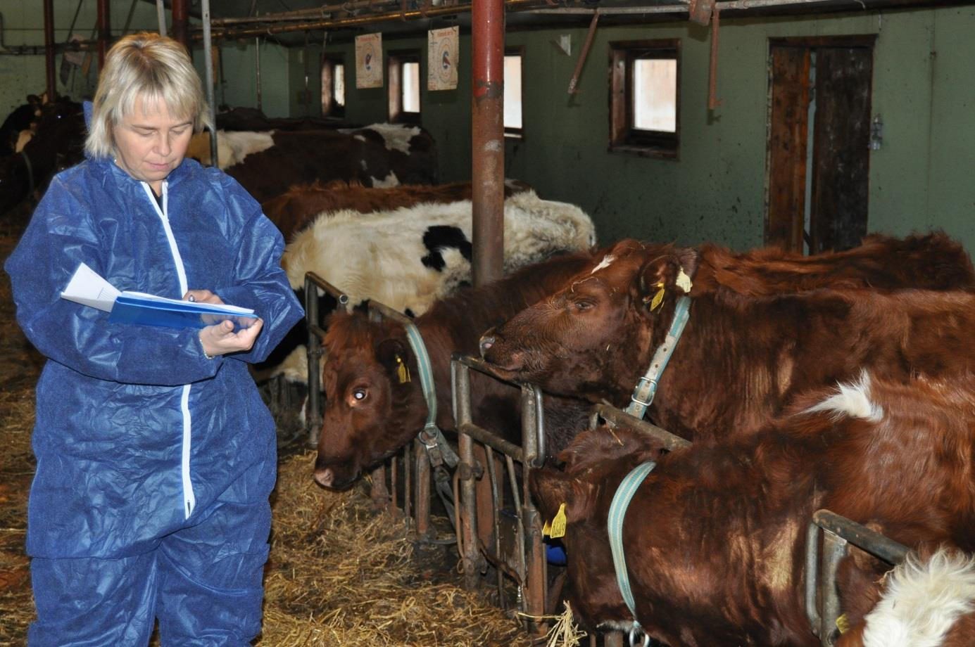 Varslet og uvarslet tilsyn Et varslet tilsyn er et tilsynsbesøk der eier på forhånd er gjort oppmerksom på at det vil bli utført tilsyn i dyreholdet. Dette kan f.eks.