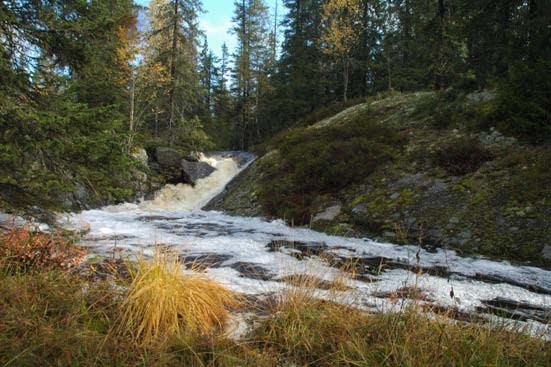 Ta vare på stiene og vassdragene! Stien er ikke en hvilken som helst transportåre, de har en kjerneverdi for friluftslivet.