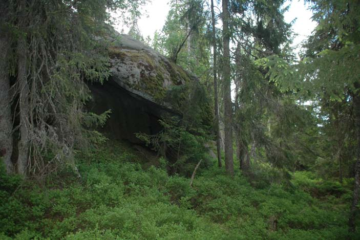 Opplevelsesverdier /Eventyrskogverdier Skogen på Haklomana er gammel, framstår som uberørt og naturlig, har stor variasjon og særpreg.