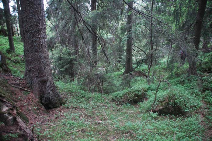 Særpreg. Selve svaet gjør terrenget og omgivelsene spennende og fantasieggende. Sammen med storskogen nedenfor blir området trolsk.