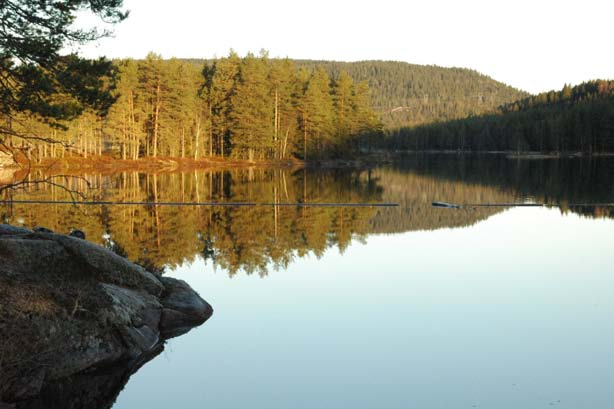 Verdisetting Vindernhøgda - Dølerudhøgda utgjør en del av et større, sammenhengende eventyrskogområde fra Glåmene, via Kobberhaugmassivet og over Vindernhøgda - Dølerudhøgda til Dølerudhøgda.