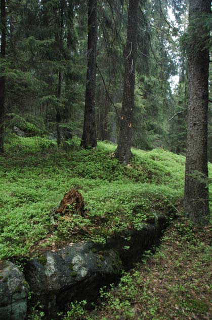 Gransberget (B) er en markert kolle på vestsiden av Grytebekkdalen som skiller seg opplevelsesmessig klart fra denne. I vest stuper terrenget bratt ned i mer påvirket skog.