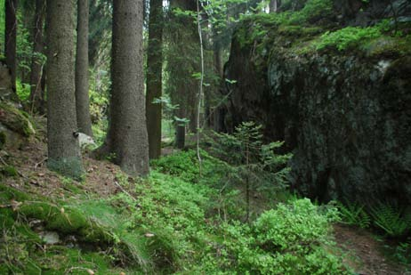 Avgrensning Området avgrenses i øst av lysløypa fra Stig til Linnerudkollen, i sør av Grefsenkleiva, i vest av Trollvannskleiva og den nordre delen avgrenses av yngre, mer monoton skog.