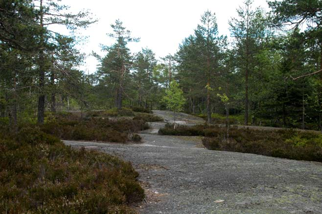 SMÅVANN VERKENSMOSAN - BLÅFJELL Svært sammensatt område, med en markert brattli med grov, gammel skog, et myr- og skogplatå og ulike typer myrer.
