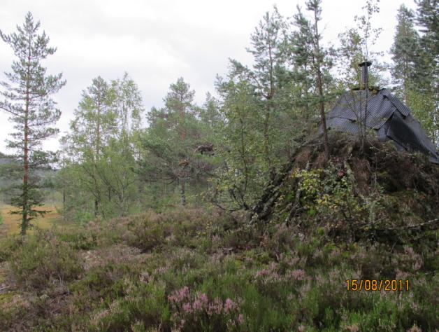 TERRENGET Terrenget er preget av småkupert furuskog, myrlendte partier med små åpne vann og små bekker. En skogsbilvei går tvers gjennom området. Langs denne veien ligger enkelte hytter.