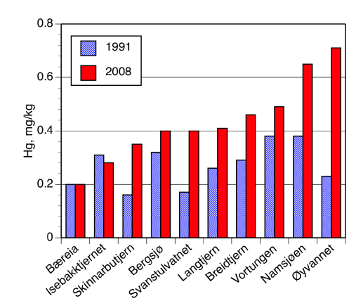 Kvikksølv nasjonalt problem Ny grenseverdi 20µg/kg organismer Gammel grenseverdi torsk 300µg/kg Store deler av norske vannforekomster over