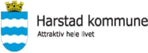 Erfaringer med kontinuerlig forbedring i Harstad kommune Hva ser vi mht: Konsept og organisasjonsoppskrifter? Medarbeiderinvolvering? Effekter og forbedringer i tjenesten?