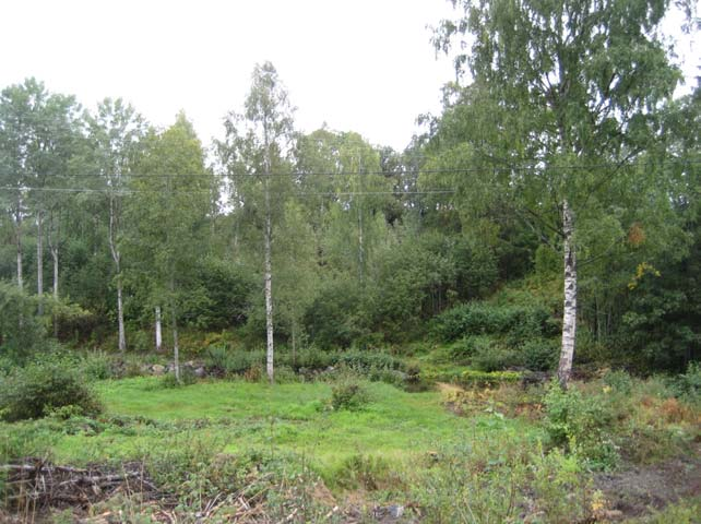 Ved høstsituasjon er det godt utsyn mot Randsfjorden Den frodige vegetasjonen på nordsida av elva beholdes.