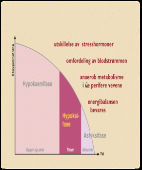 Acid-bases values in the healthy term foetus before birth and neonates after birth, along with the adult values for comparison ph pco2 (kpa) BDecf (mmol/l) po2 (kpa) Umbilical vein before birtha > 7.