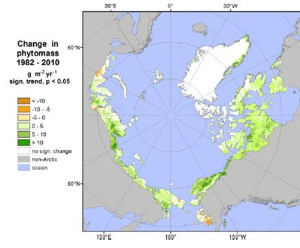 Gjengroing i arktiske og alpine områder Epstein et al 2012 and Myers-Smith et al 2011 Environmental Research