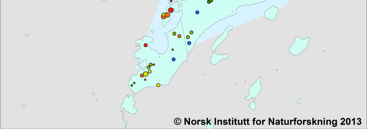 Figur 8. Oversikt over lokalisering av sjøfugl og fjæreplytt i havneområdet i Båtsfjord. Figur 9.