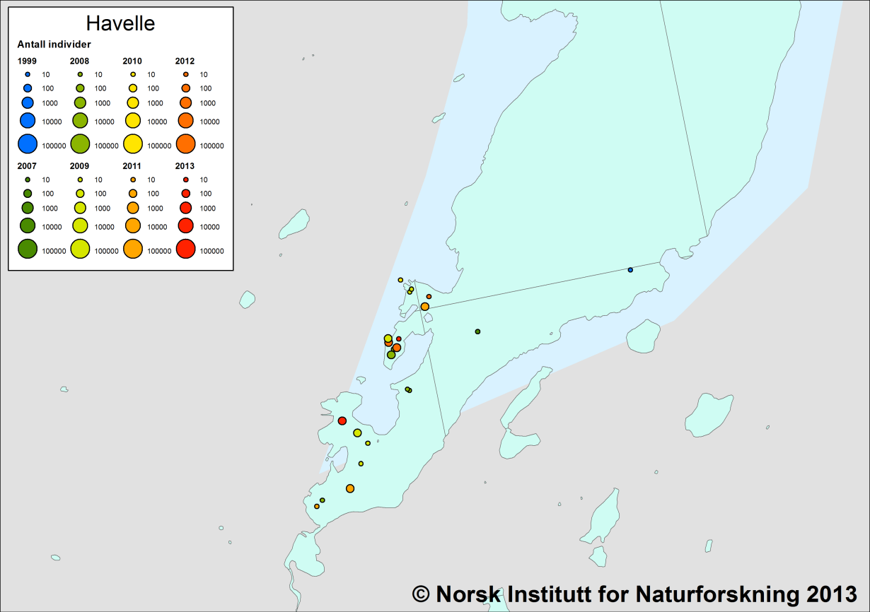 Figur 12. Oversikt over lokalisering av havelle i Båtsfjord i siste halvdel av mars de ulike årene de er talt opp av NINA. De ytre fuglene er sannsynlig hvilende individer. 3.