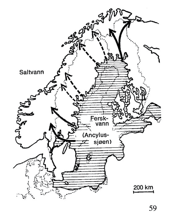 Naturtyper i Norge (2008) Hustich 1960 Sjörs 1963 Ahti et al. 1968 Abrahamsen et al. 1984 A7 høgalpin sone (HA) arctic region arctic zone A6 mellomalpin sone alpine belts (MA) Dahl et al.