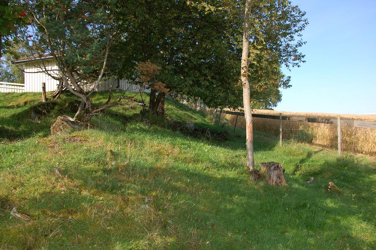 Figur 16. Naturtype-avgrensing av beitehage på Skånes (grønn grense). Kartgrunnlag: Norge Digitalt. Figur 17.