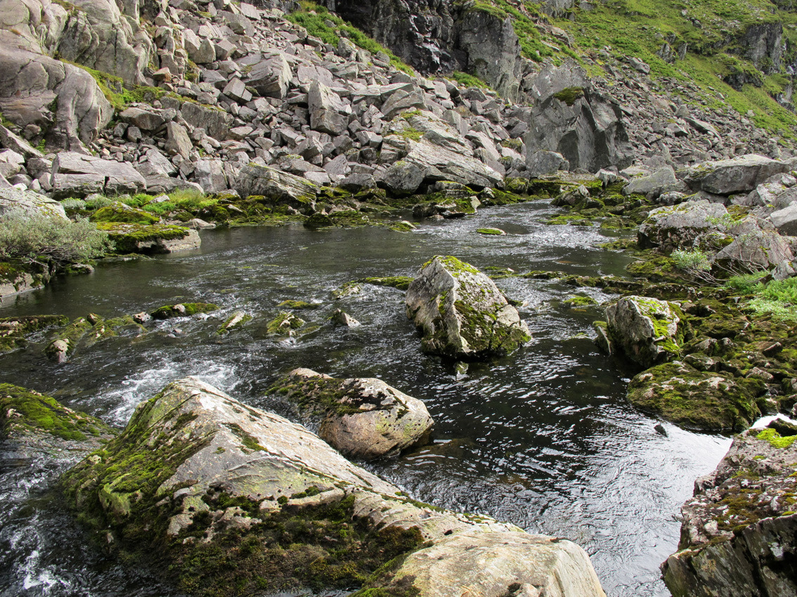 Området Søyegjelet Søyegjelet er en del av elva Søyeelvi, som har sitt utløp i nordenden av Svartavatnet. På grunn av svært lav og stedvis manglende vannføring den 15.