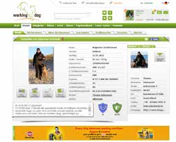 Annonse plassering Banner ifb mud hundeprofiler, personlige profiler,