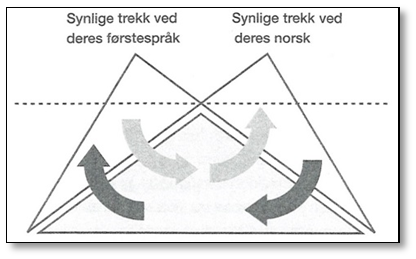 Fig.1: Øzerks illustrasjon av Cummins fundament for tospråklig utvikling (Øzerk, 2005 s. 16).