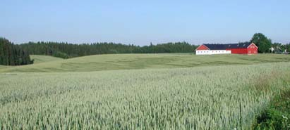 Spre mindre mengder, f.eks. balanse over 5-års periode En kornavling fjerner 1,5-2,0 kg fosfor/daa Kan tilføre 7,5 10 kg /daa 200-1000 kg TS/daa Hvor små mengder er det praktisk mulig å spre?