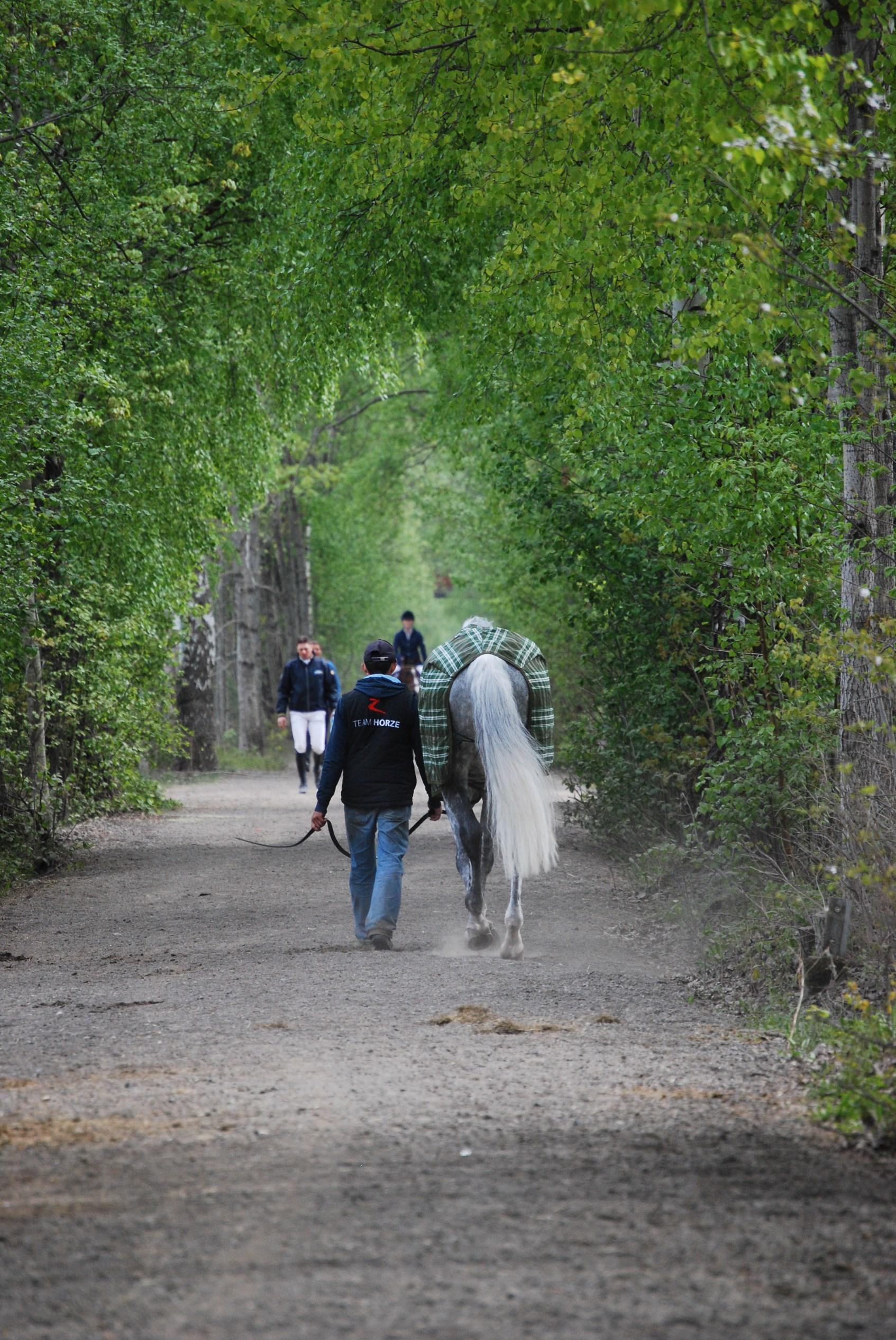 Retningslinjer for