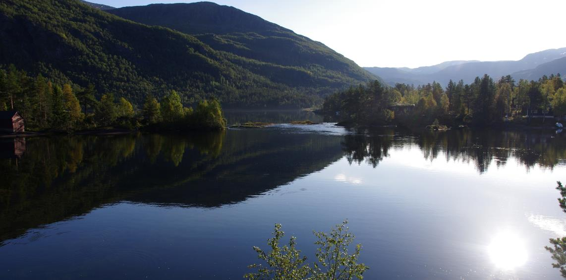 1.1.1 Løyningsvatn Løyningsvatn ligg 593 m.o.h i den søraustlege greina av Opo. Vatnet er på 0.56 km 2 og har eit nedbørfelt på 51 km 2, med ei tilrenning (1961-90) på 149 mill m 3 (2931 mm/år).