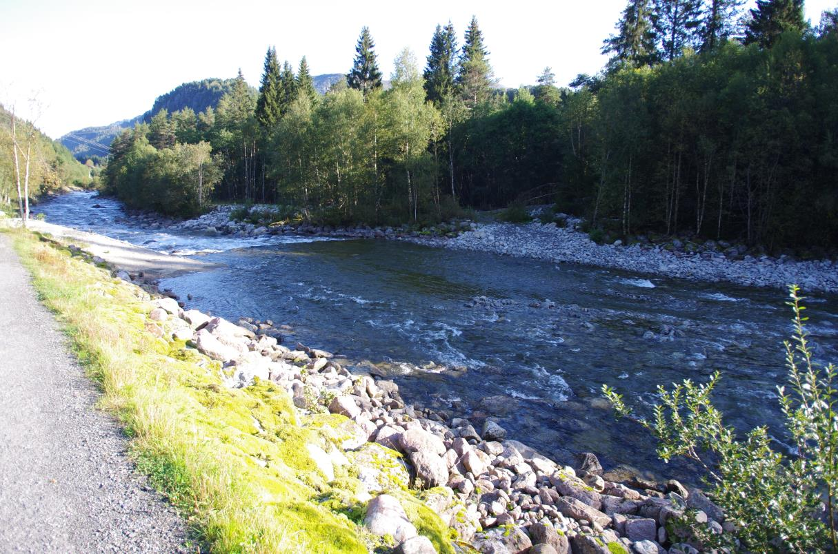 1.1.4 Sjausetedalen Elva frå Sjausetedalen går rett i Sandvinvatn frå aust (Tjørnadalsfossen). Det er ikkje lokal flaumproblematikk i dalen, men øverst i dalen ligg det eit vatn på 0.