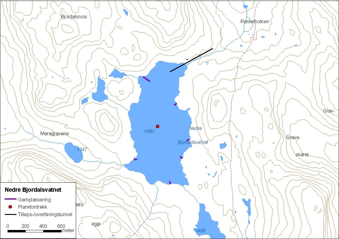 .. Nedre Bjordalsvatnet Nedre Bjordalsvatnet (innsjønummer 3) ligg i Lærdalsvassdraget i Lærdal kommune (figur 8). Vatnet ligg 8 meter over havet og er,73 km² stort.