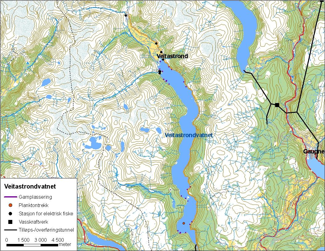 .3. Veitastrondvatnet Veitastrondvatnet (innsjønummer ) ligg i Årøyvassdraget i Luster kommune (figur ). Magasinet er 7,7 km² stort, høgaste regulerte vasstand er 7 moh. og reguleringshøgda er, meter.
