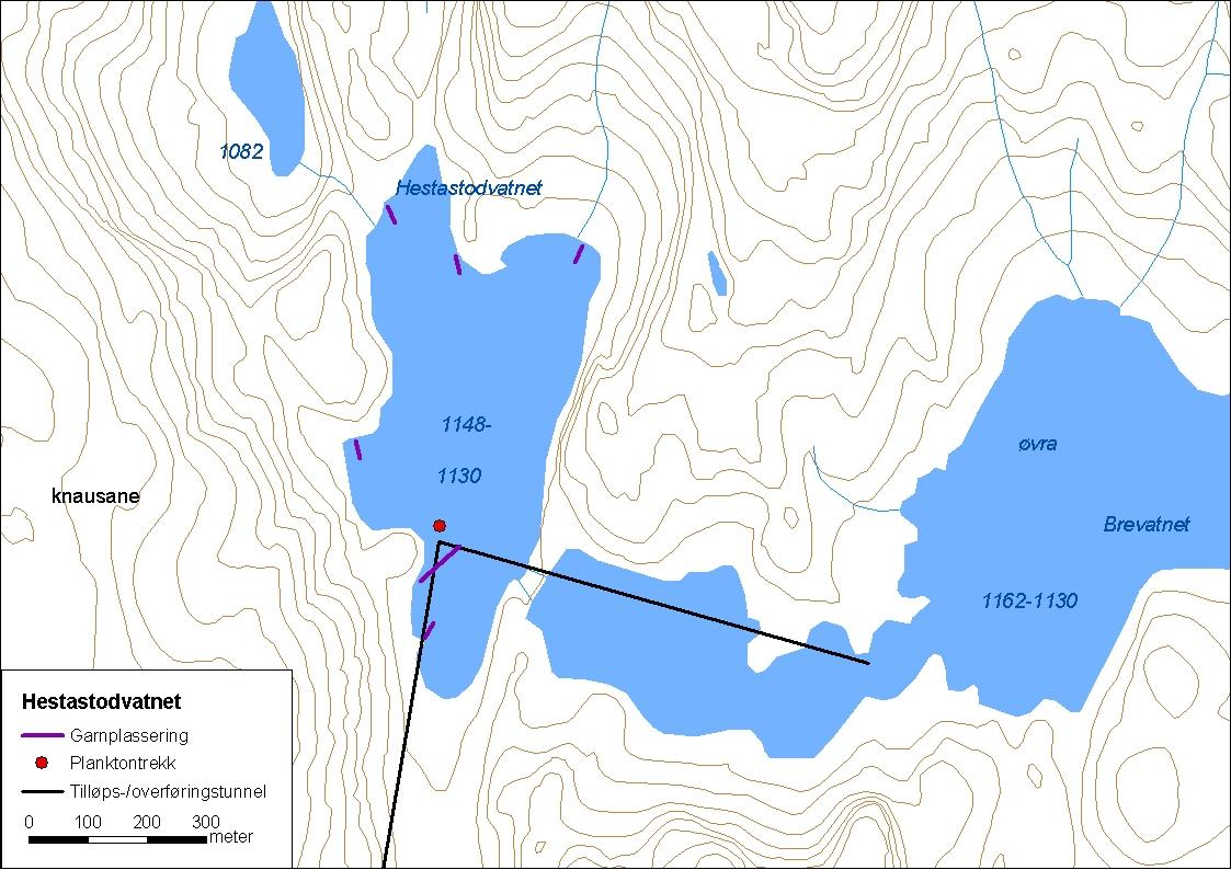 .. Hestastodvatnet (Heimste Brevatnet) Hestastodvatnet (innsjønummer 9) ligg i Vik kommune (figur ).