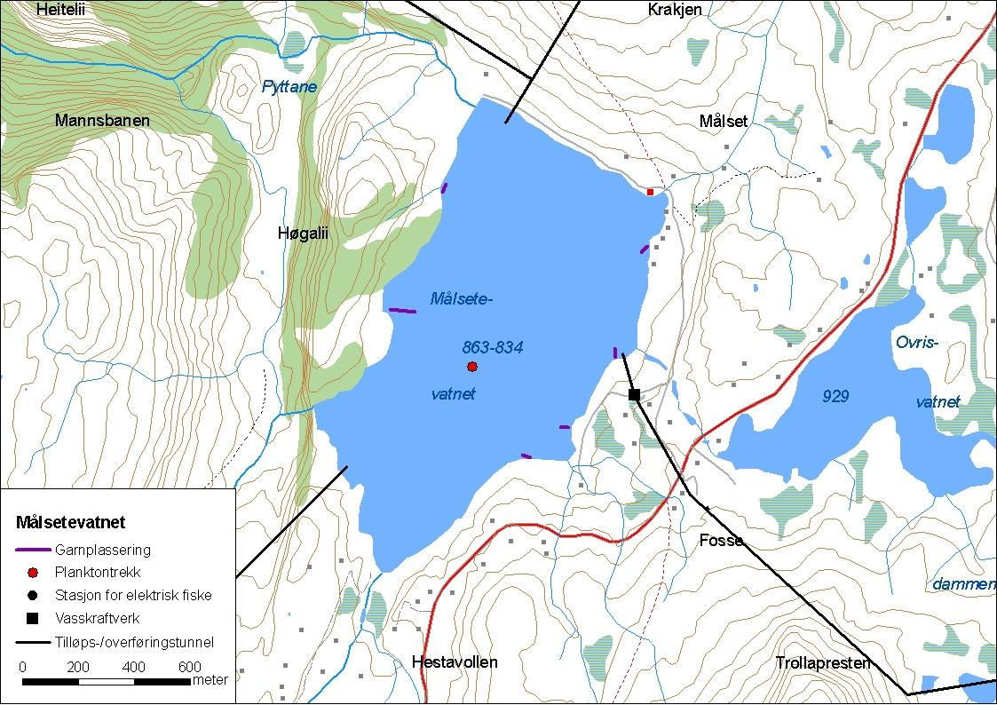 .. Målsetevatnet Målsetevatnet (innsjønummer ) ligg i Vik kommune (figur ).