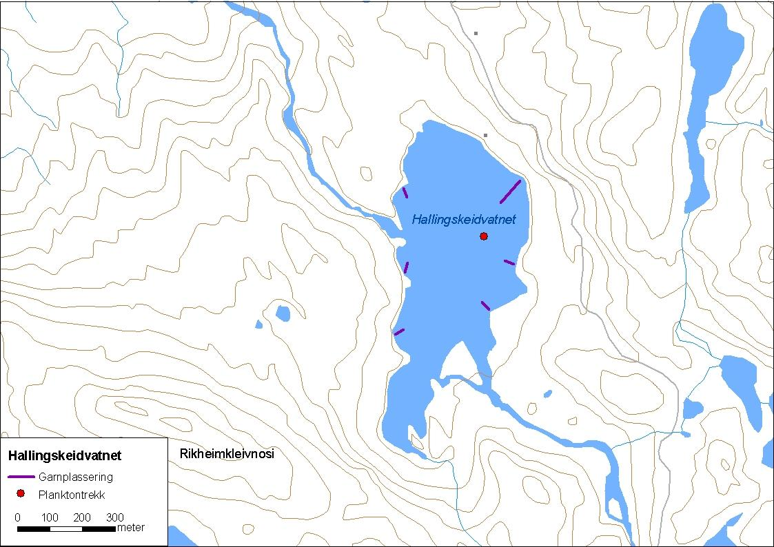 .. Hallingskeidvatnet Hallingskeidvatnet (innsjønummer 7) ligg i Lærdalsvassdraget, sør i Lærdal kommune (figur 8). Vatnet er,7 km² stort og ligg 397 moh. (NVE 8).