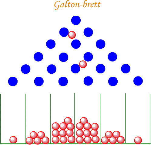 Halvor Aarnes, IBV, 2014 Galton-brett og sentralgrenseteorem På et Galton-brett (Sir Francis Galton) beveger kuler for eksempel erter eller klinkekuler seg som følge av tyngdekraften på et skråstilt
