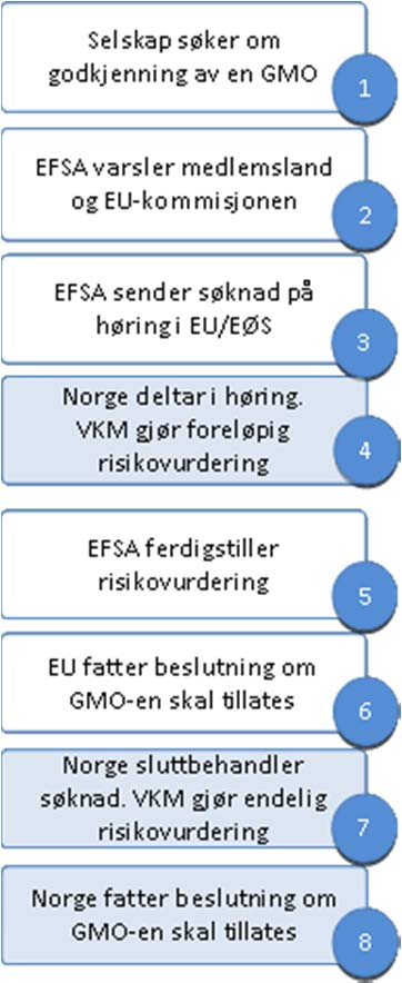 Vedlegg III Gangen i søknadsprosessen når en GMO søkes godkjent Norge er gjennom EØS-avtalen tilsluttet EUs godkjenningsordning for genmodifiserte organismer.