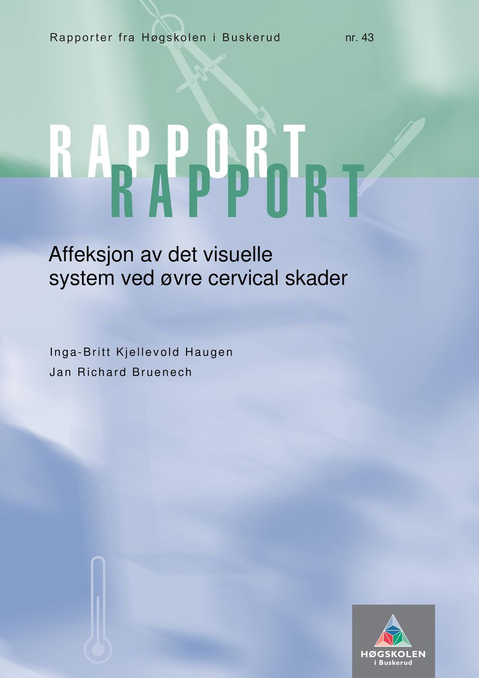 43 RAPPORT RAPPORT Affeksjon av det visuelle