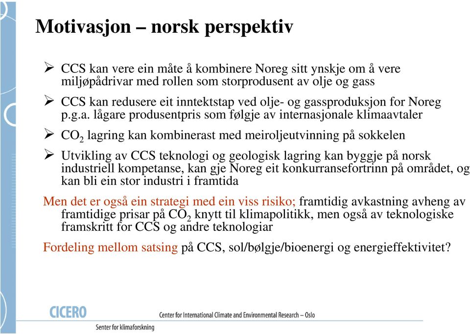 lagring kan byggje på norsk industriell kompetanse, kan gje Noreg eit konkurransefortrinn på området, og kan bli ein stor industri i framtida Men det er også ein strategi med ein viss risiko;